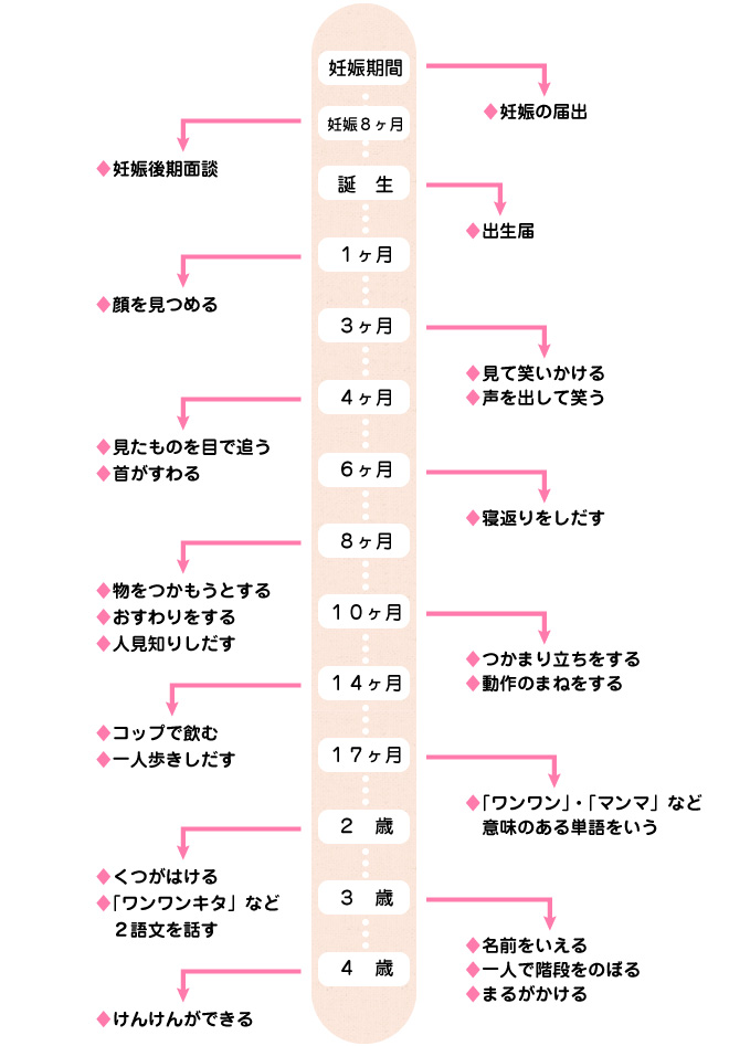 成長の流れ