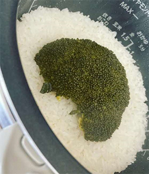 broccoli-rice02